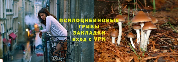 ALPHA-PVP Белокуриха