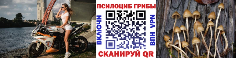 наркотики Курильск Псилоцибиновые грибы мухоморы